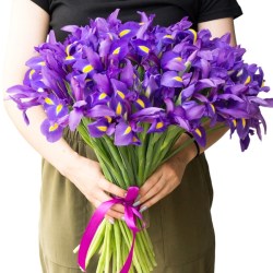 51_iris_buket_klumba (1)